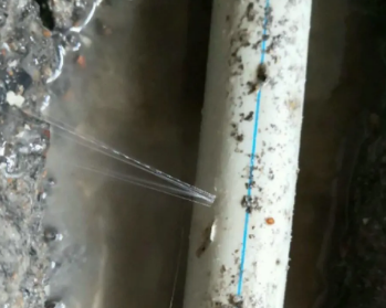 振兴卫生间测漏水多少钱